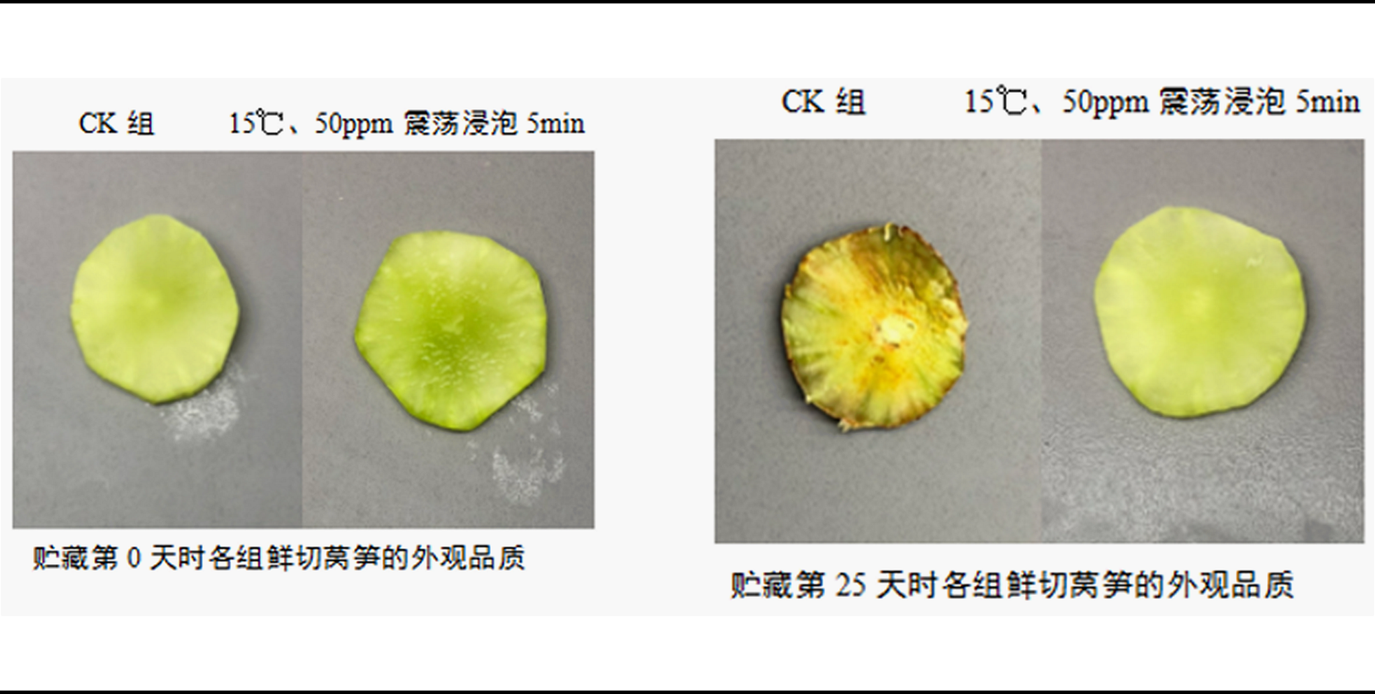 图片1_副本_副本_副本.png