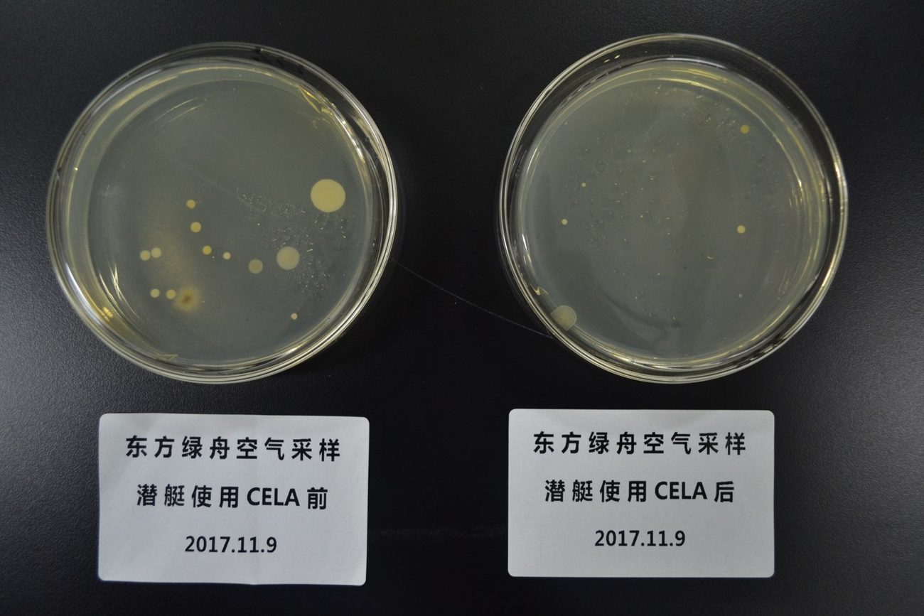 潜艇舱空气采样培养皿对照，左为使用CELA前、右为使用后，菌落明显减少