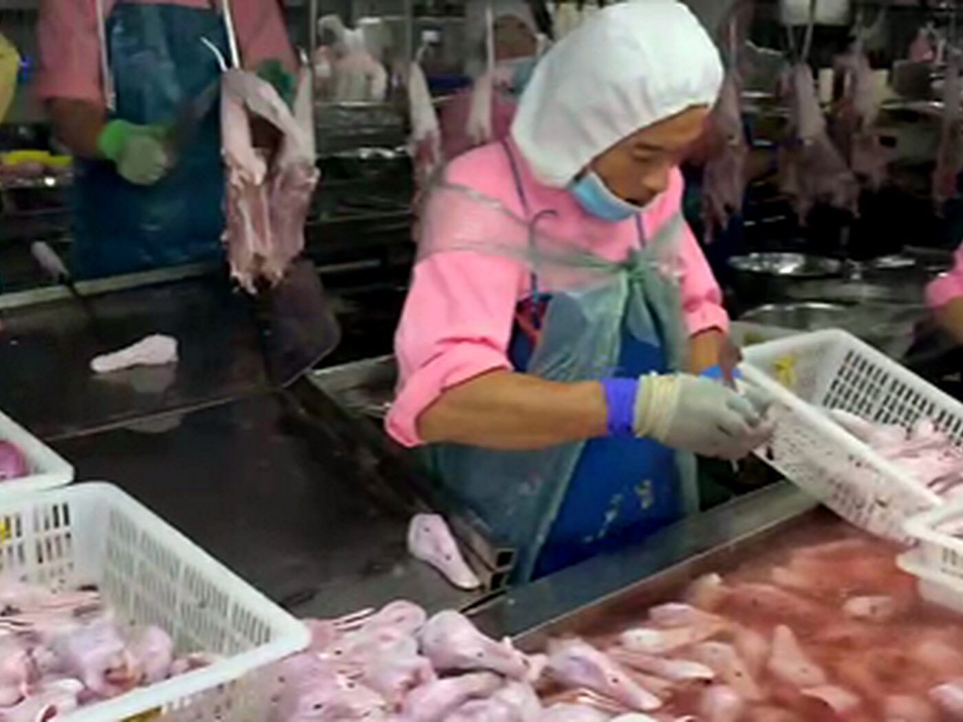 肉鸭分割分拣作业现场，工人在不锈钢案台上进行分割分拣过程控制