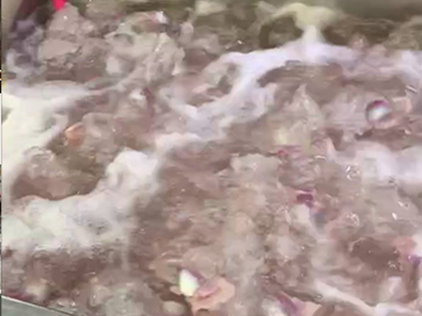 鸭肉在次氯酸水中进行清洗与浸泡处理