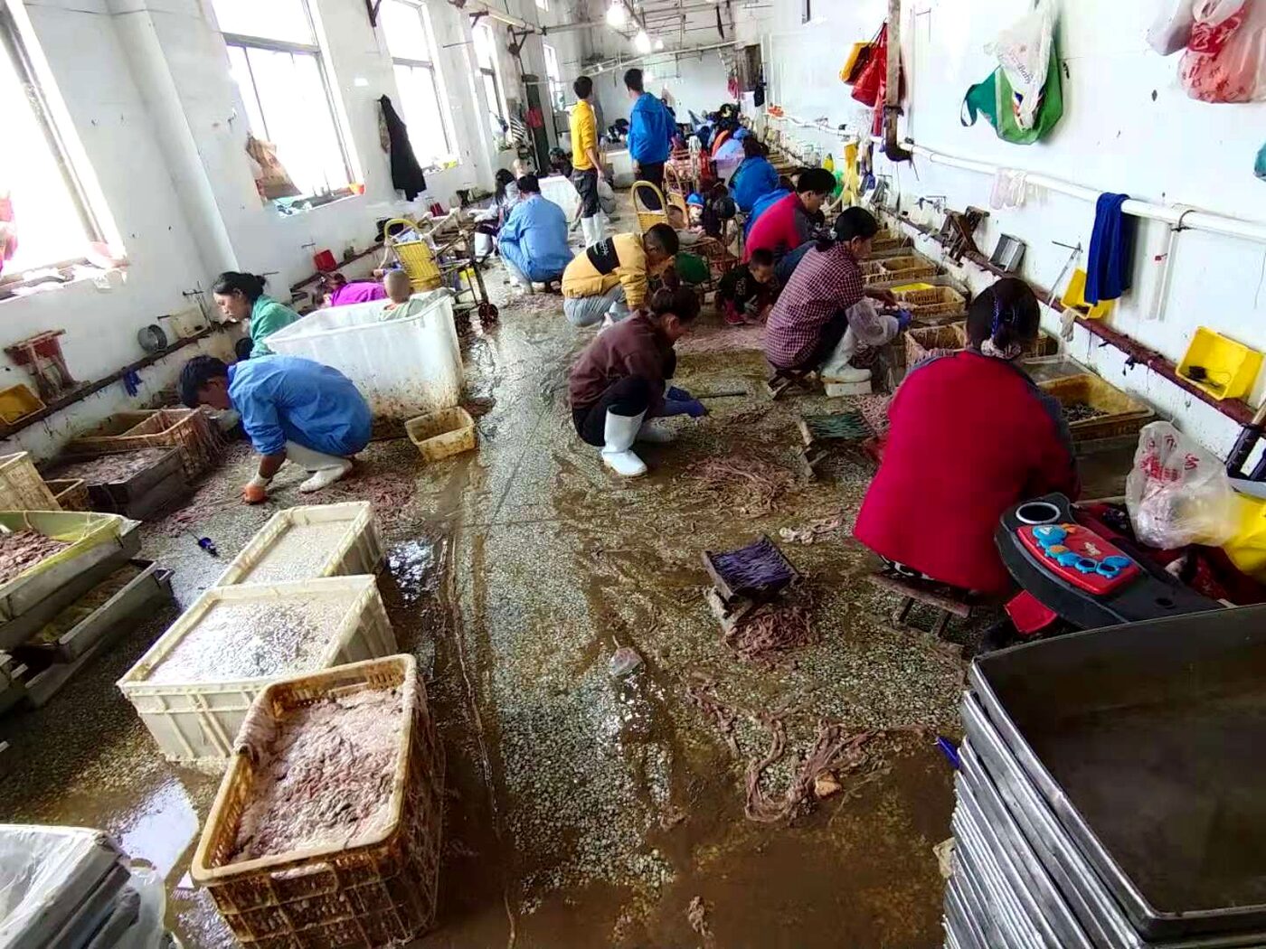 山东高唐六合荣达肉鸭屠宰场加工现场，人工分拣与湿作业环境并存，卫生控制点位分散