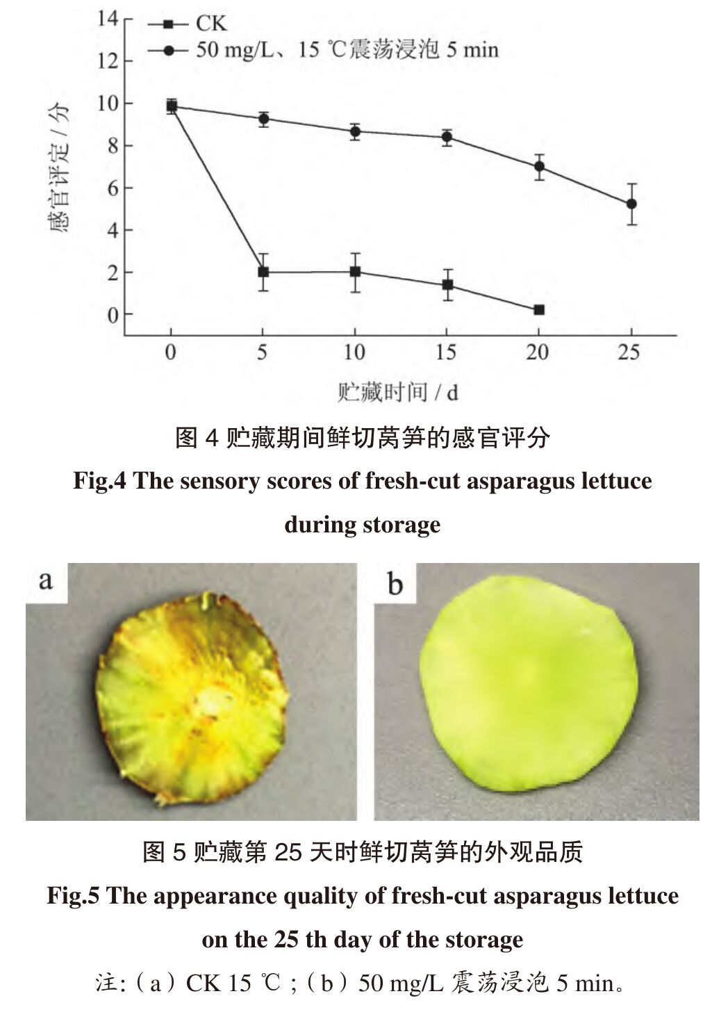 鲜切莴笋贮藏期间感官评分变化及第25天外观对比：对照组褐变腐败，处理组保持鲜绿