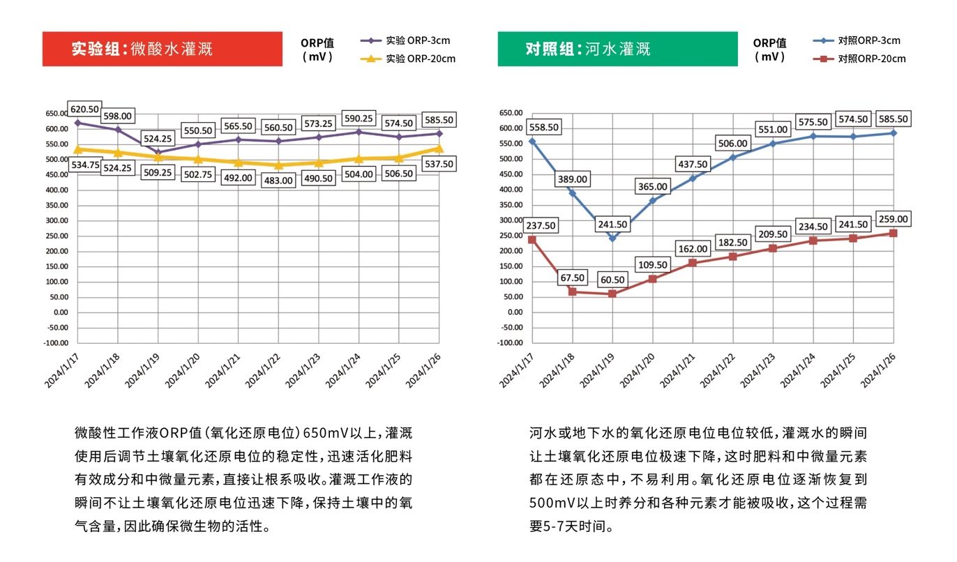 实验棚三次处理前后病原菌数量持续下降的折线图