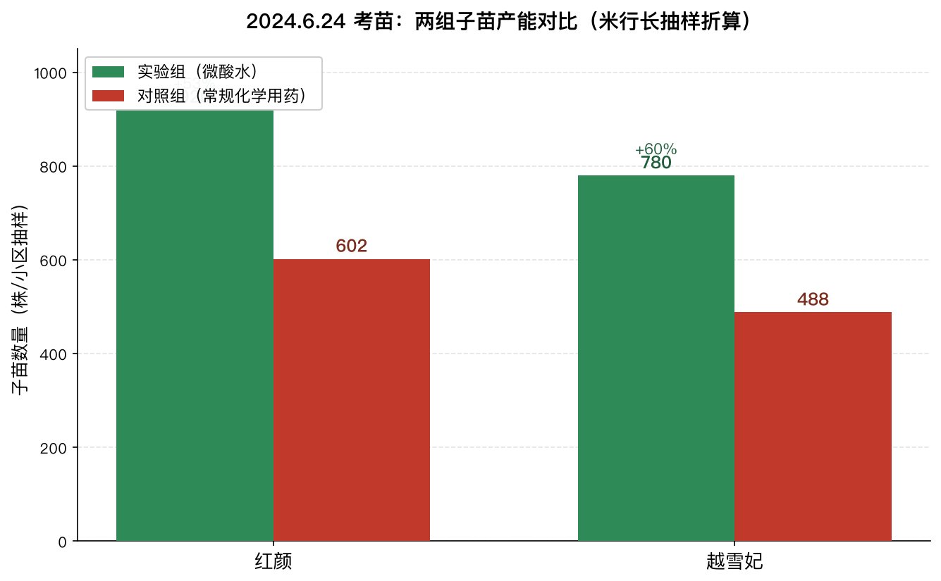 红颜与越雪妃两个品种子苗产能实验组与对照组柱状图对照