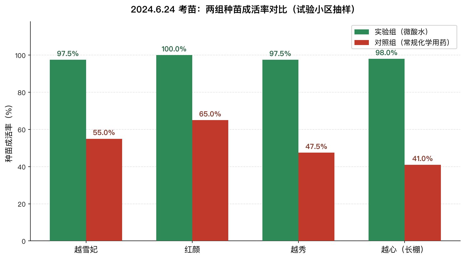 2024年6月24日考苗四个品种小区实验组与对照组成活率柱状图对照