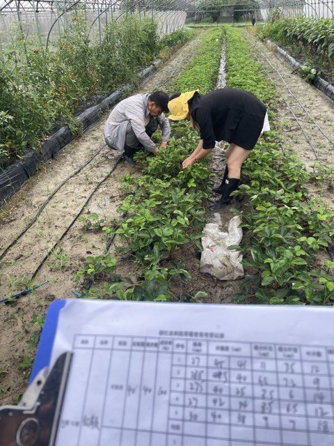 现场手写育苗过程记载表记录页,浙江农业新品种选育重大专项